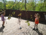 IMG_20200523_100742811.jpg